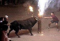 El toro 'embolao', una de las tradiciones de la Semajna Santa gaditana